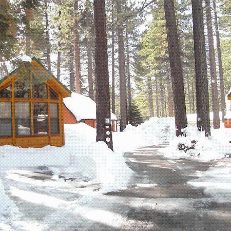 Cedar Pines Resort South Lake Tahoe Dış mekan fotoğraf