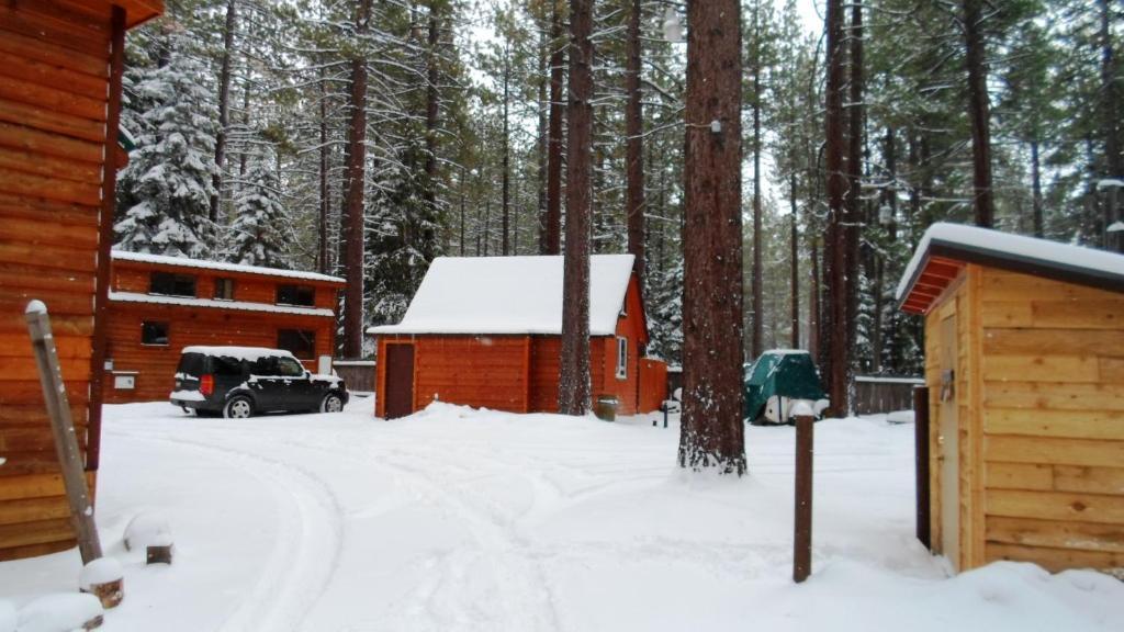 Cedar Pines Resort South Lake Tahoe Dış mekan fotoğraf