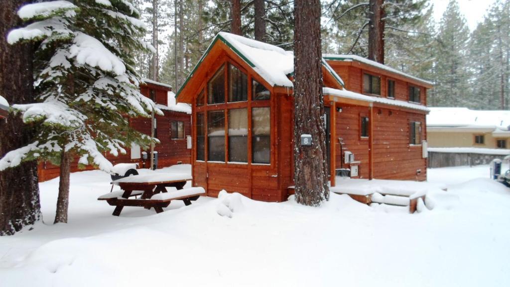 Cedar Pines Resort South Lake Tahoe Dış mekan fotoğraf
